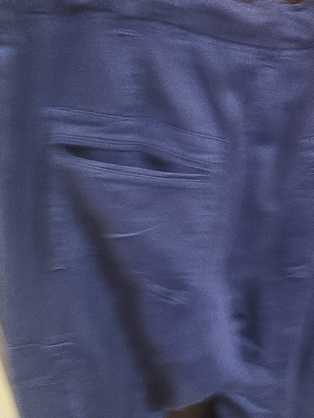 Free People Navy Blue Utility Pants - Picture 8 of 10